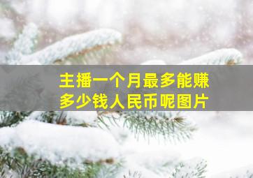 主播一个月最多能赚多少钱人民币呢图片