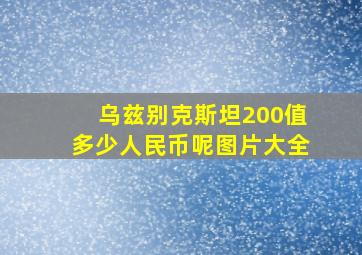 乌兹别克斯坦200值多少人民币呢图片大全