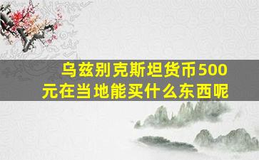 乌兹别克斯坦货币500元在当地能买什么东西呢