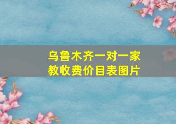 乌鲁木齐一对一家教收费价目表图片