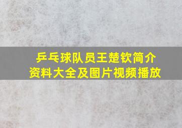 乒乓球队员王楚钦简介资料大全及图片视频播放