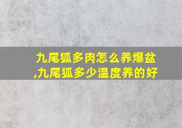 九尾狐多肉怎么养爆盆,九尾狐多少温度养的好