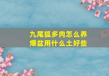 九尾狐多肉怎么养爆盆用什么土好些