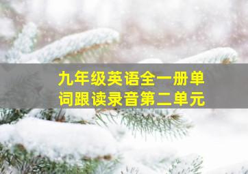 九年级英语全一册单词跟读录音第二单元