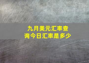 九月美元汇率查询今日汇率是多少