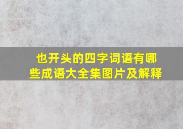 也开头的四字词语有哪些成语大全集图片及解释