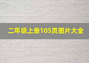 二年级上册105页图片大全