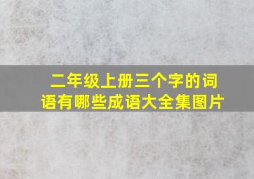 二年级上册三个字的词语有哪些成语大全集图片