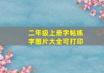 二年级上册字帖练字图片大全可打印