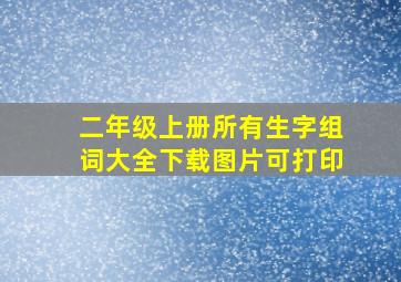 二年级上册所有生字组词大全下载图片可打印