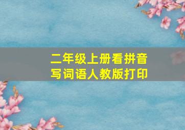 二年级上册看拼音写词语人教版打印