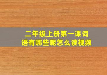 二年级上册第一课词语有哪些呢怎么读视频