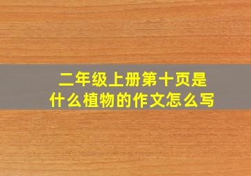 二年级上册第十页是什么植物的作文怎么写