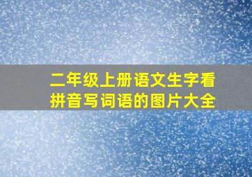 二年级上册语文生字看拼音写词语的图片大全