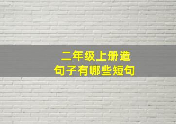 二年级上册造句子有哪些短句