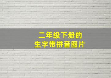 二年级下册的生字带拼音图片