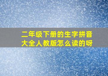 二年级下册的生字拼音大全人教版怎么读的呀