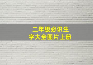 二年级必识生字大全图片上册