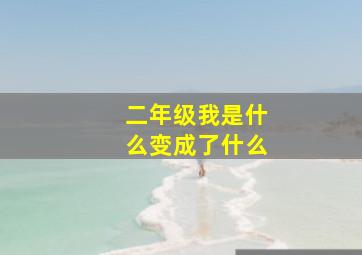 二年级我是什么变成了什么