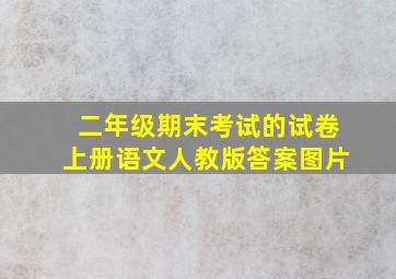 二年级期末考试的试卷上册语文人教版答案图片