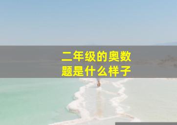 二年级的奥数题是什么样子