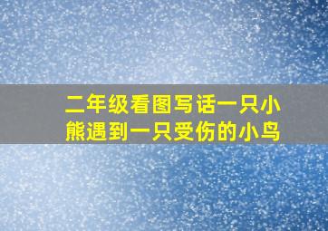 二年级看图写话一只小熊遇到一只受伤的小鸟