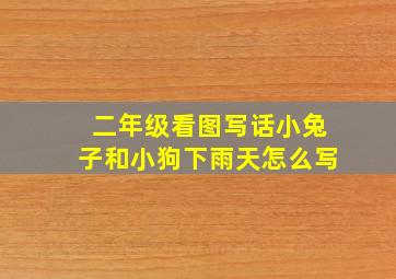 二年级看图写话小兔子和小狗下雨天怎么写