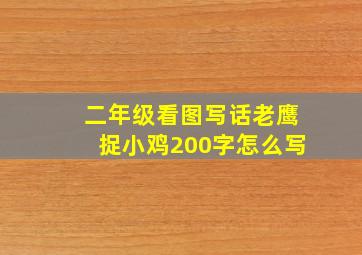 二年级看图写话老鹰捉小鸡200字怎么写