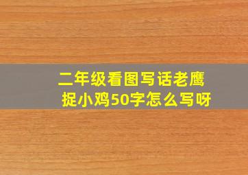 二年级看图写话老鹰捉小鸡50字怎么写呀