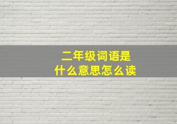 二年级词语是什么意思怎么读