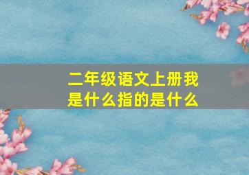 二年级语文上册我是什么指的是什么