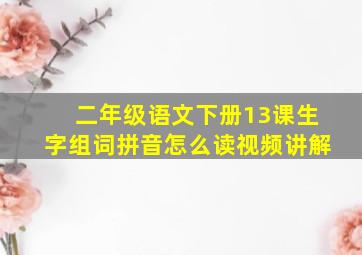 二年级语文下册13课生字组词拼音怎么读视频讲解