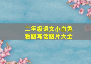 二年级语文小白兔看图写话图片大全