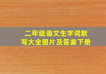 二年级语文生字词默写大全图片及答案下册