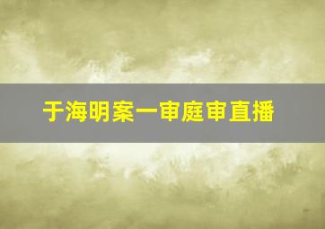 于海明案一审庭审直播