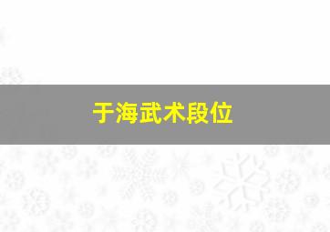 于海武术段位