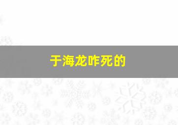 于海龙咋死的