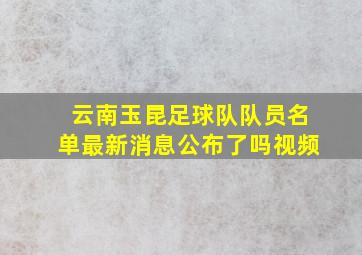 云南玉昆足球队队员名单最新消息公布了吗视频