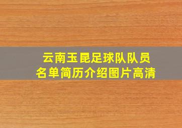 云南玉昆足球队队员名单简历介绍图片高清