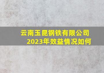 云南玉昆钢铁有限公司2023年效益情况如何