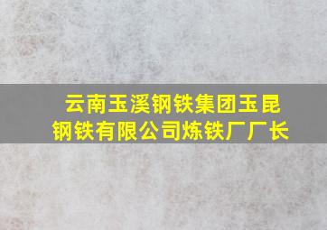 云南玉溪钢铁集团玉昆钢铁有限公司炼铁厂厂长