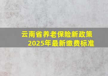 云南省养老保险新政策2025年最新缴费标准