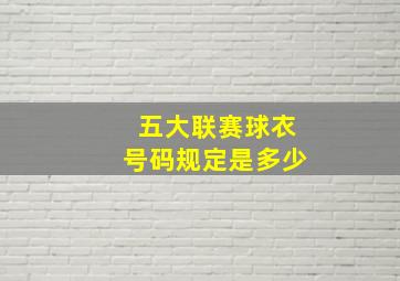 五大联赛球衣号码规定是多少