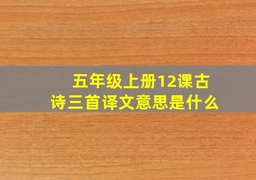 五年级上册12课古诗三首译文意思是什么