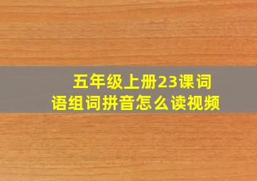 五年级上册23课词语组词拼音怎么读视频