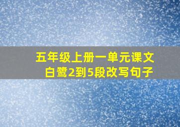 五年级上册一单元课文白鹭2到5段改写句子