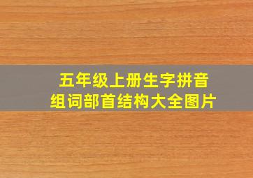 五年级上册生字拼音组词部首结构大全图片