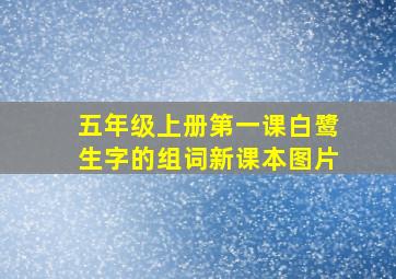 五年级上册第一课白鹭生字的组词新课本图片