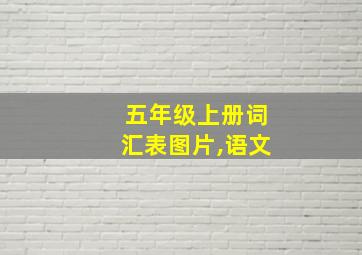 五年级上册词汇表图片,语文