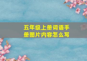 五年级上册词语手册图片内容怎么写